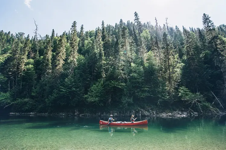 Guests canoeing on the clear water of the Restigouche River